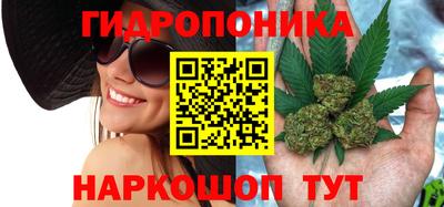 экстази Сланцы