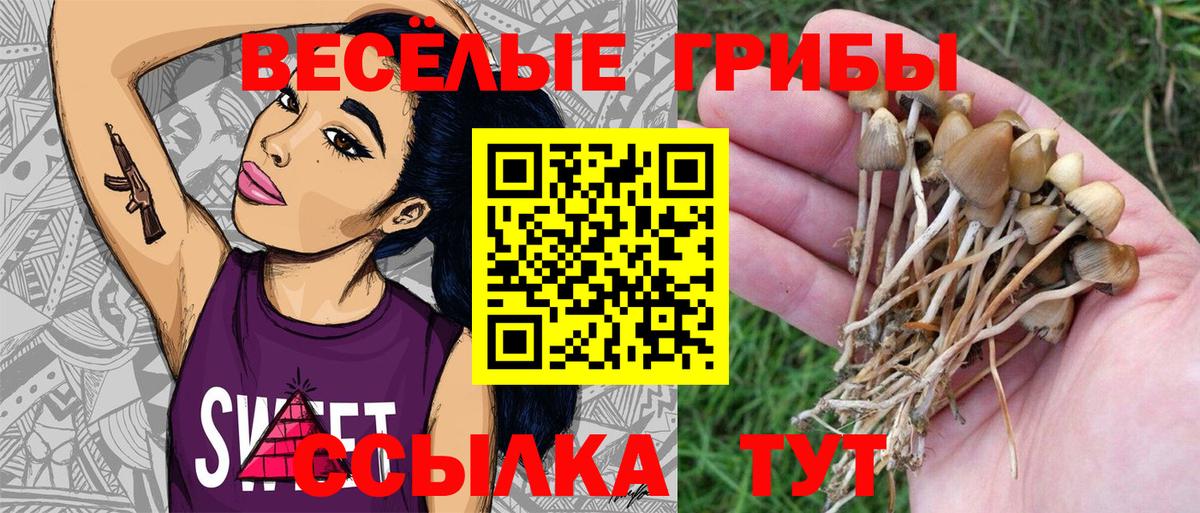 Нововоронеж  Псилоцибиновые грибы ЛСД  Вход с VPN 