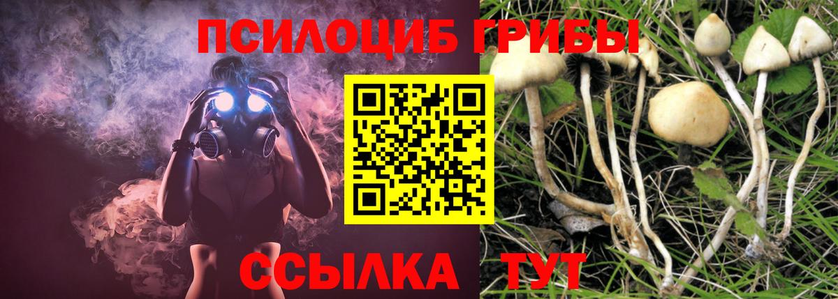Галлюциногенные грибы MAGIC MUSHROOMS Нововоронеж