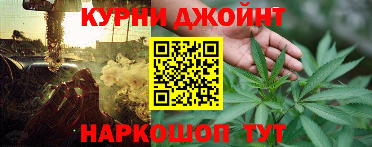 Бошки марихуана сатива Нововоронеж